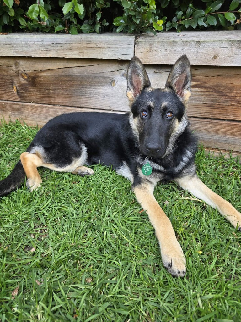Khyla