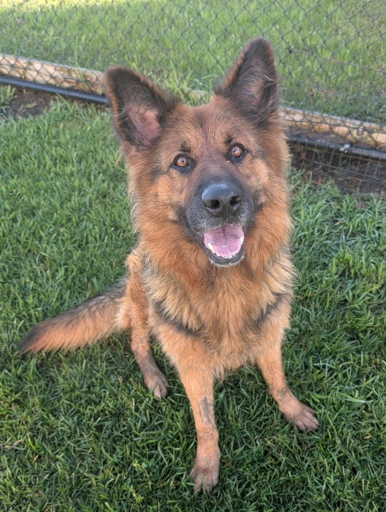 Kira
