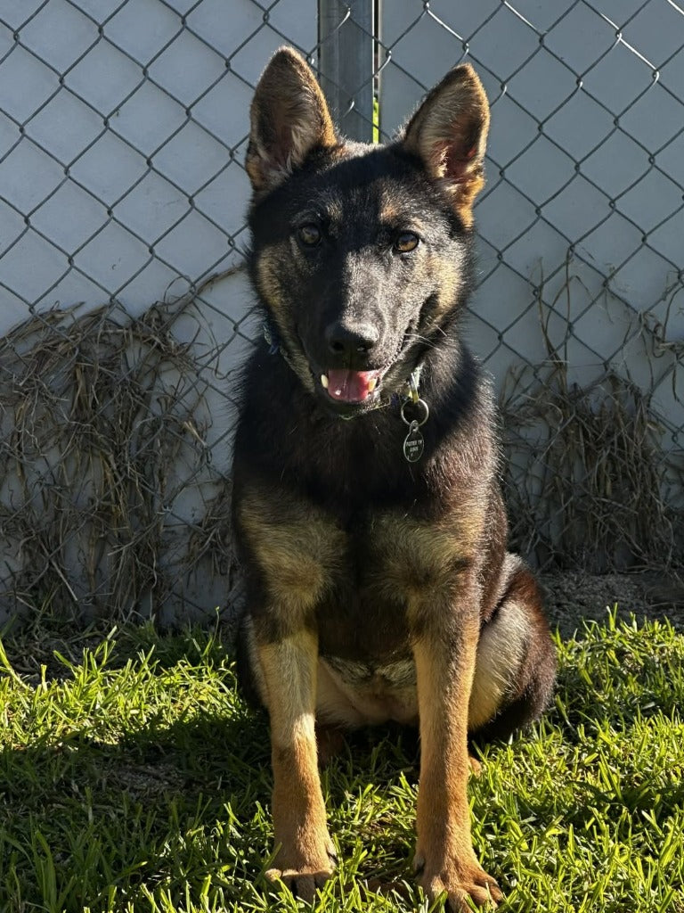 Khyla