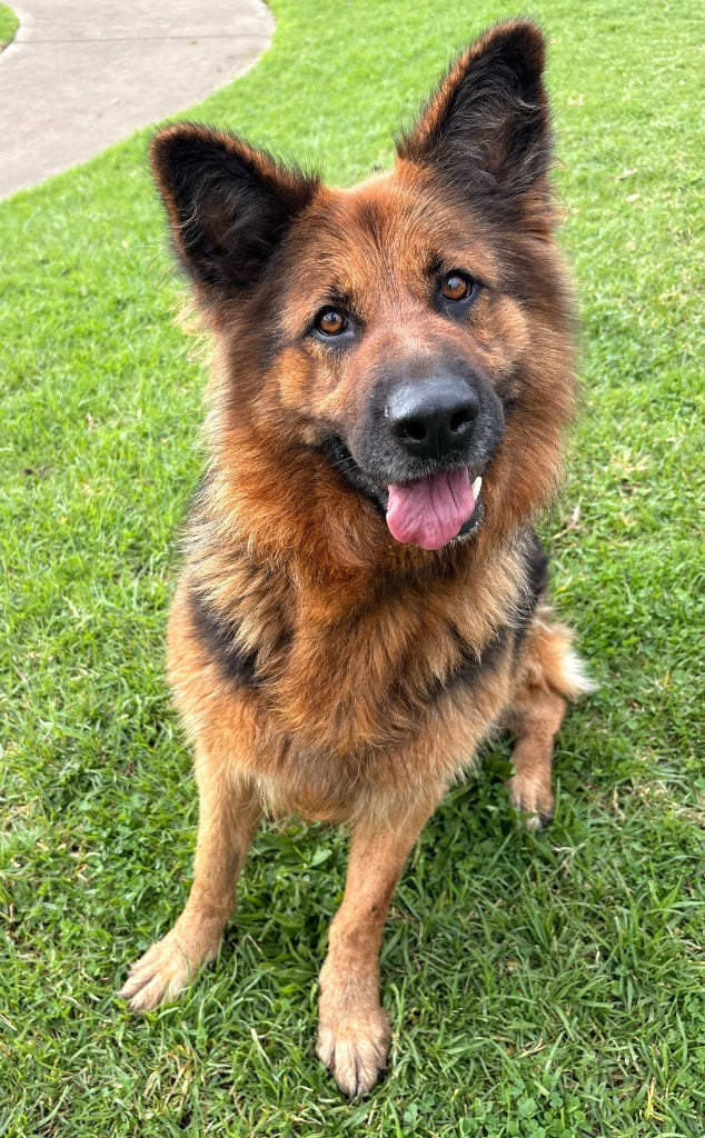 Kira